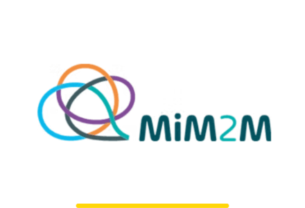 MiM2M - Multilingualism in Providing Quality Mental Health Care to Migrants: Needs, Resources and Practices